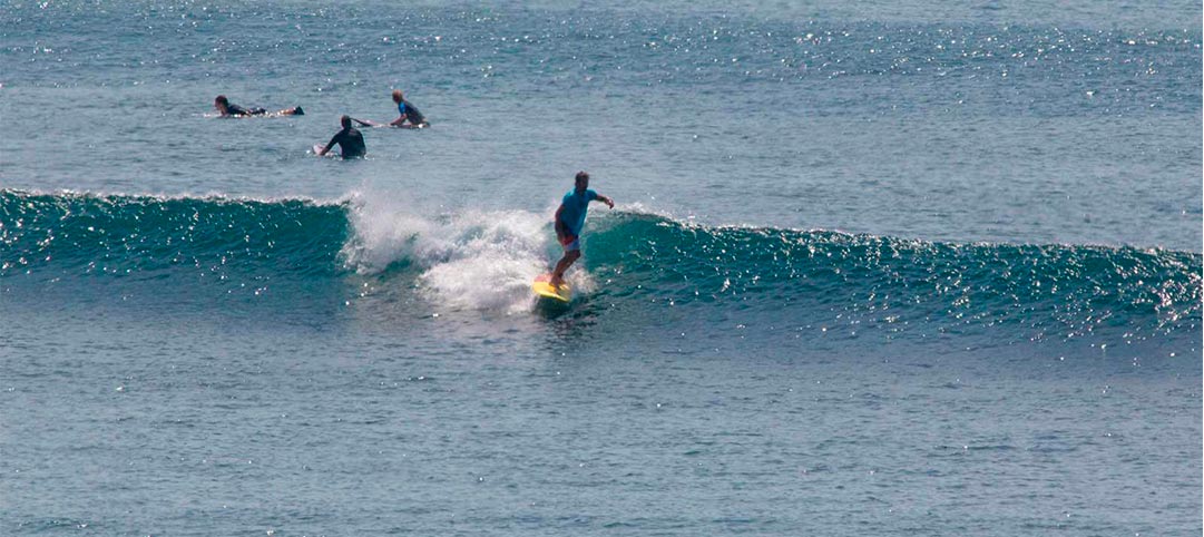 learn to surf padang padang