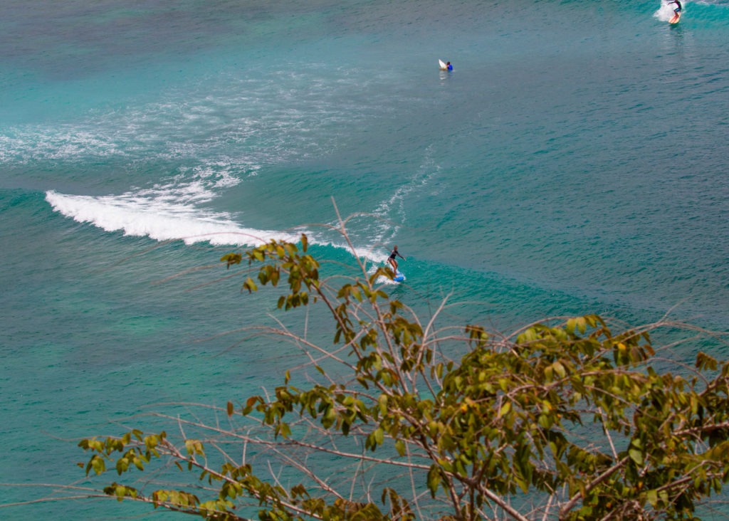 bali learn to surf